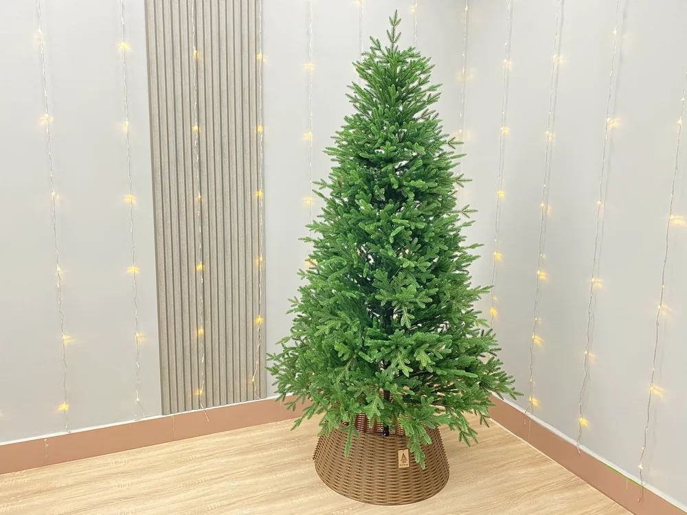 Ель «Омская» 210 см