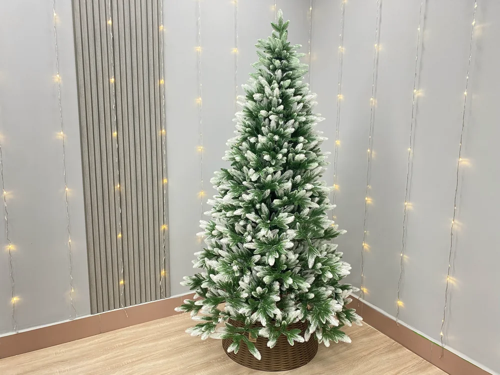 Ель «Пермская белоснежная» 210 см