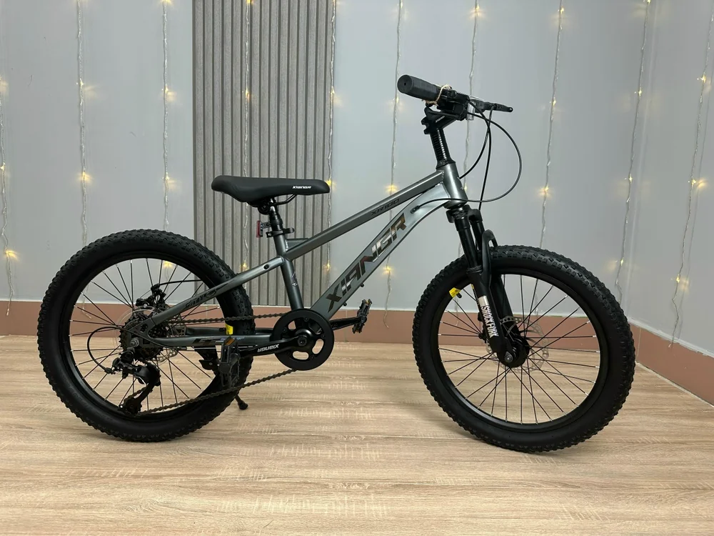 Велосипед XR-01